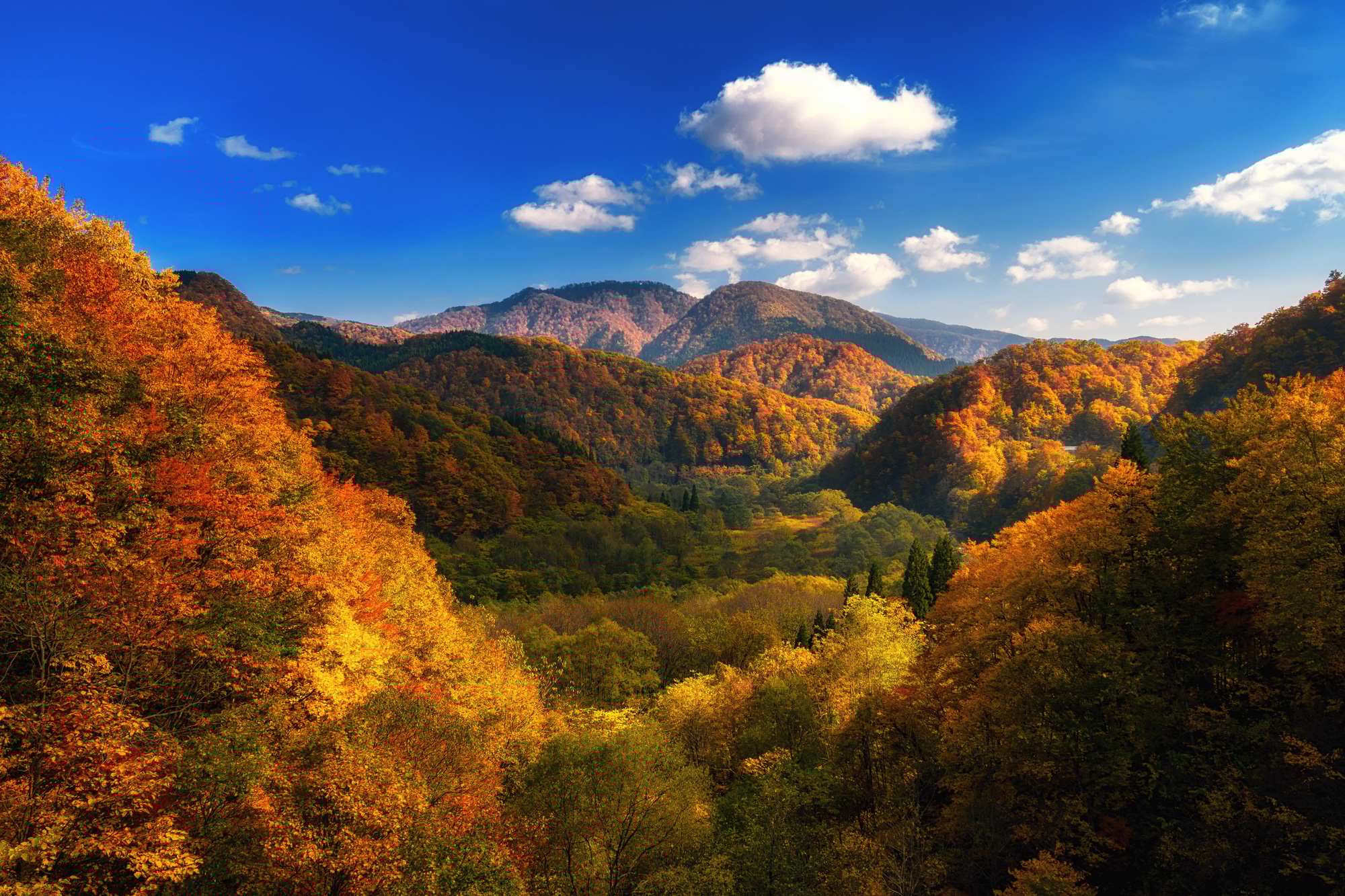 Iwate Prefecture
