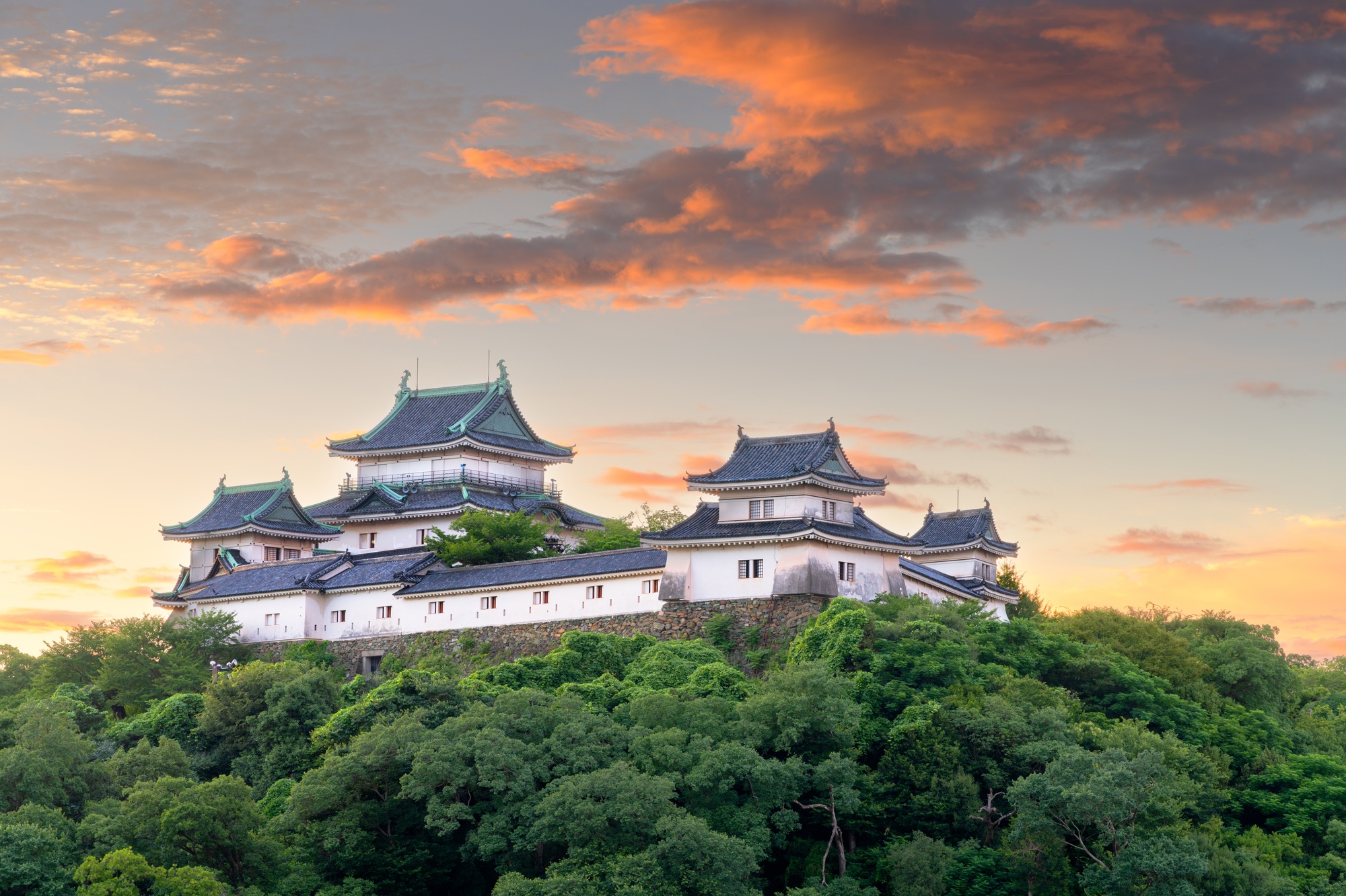 Wakayama, Japan with the hilltop Wakayama Castle