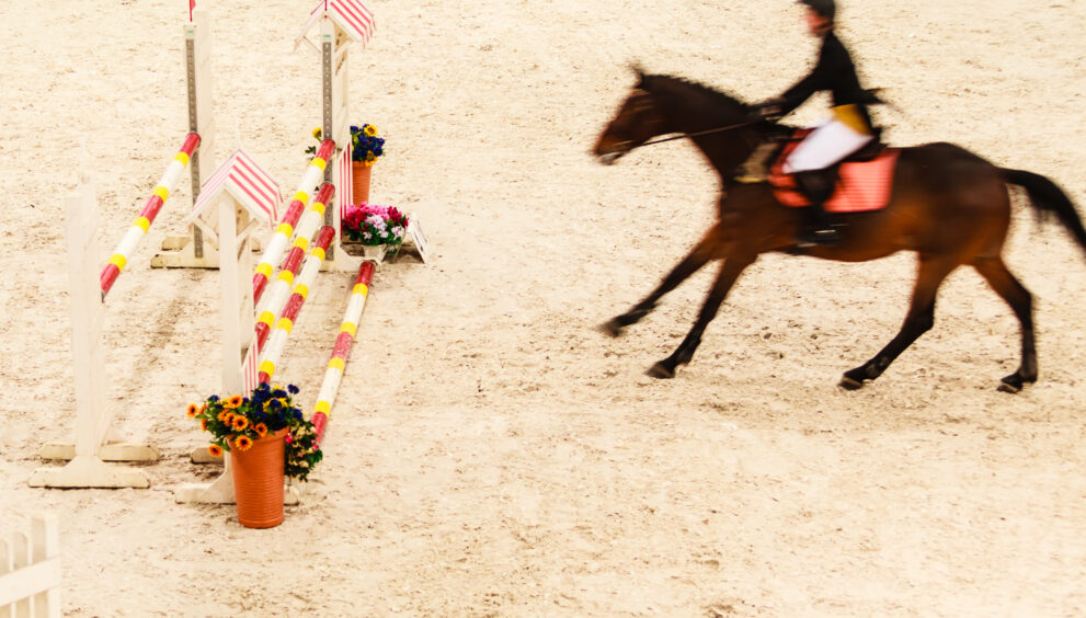 Future of historic common ridings 'in jeopardy'